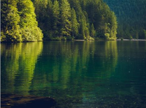 食品工業(ye) 廢水處理造紙工業(ye) 廢水處理方法有哪些